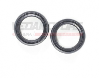 RETENTOR SUSP. DAFRA APACHE 150 (PAR) ATHENA