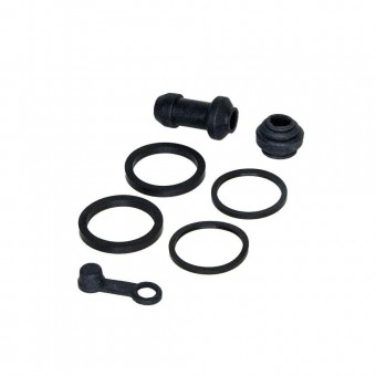 REPARO PINCA FREIO FAZER 250 GP