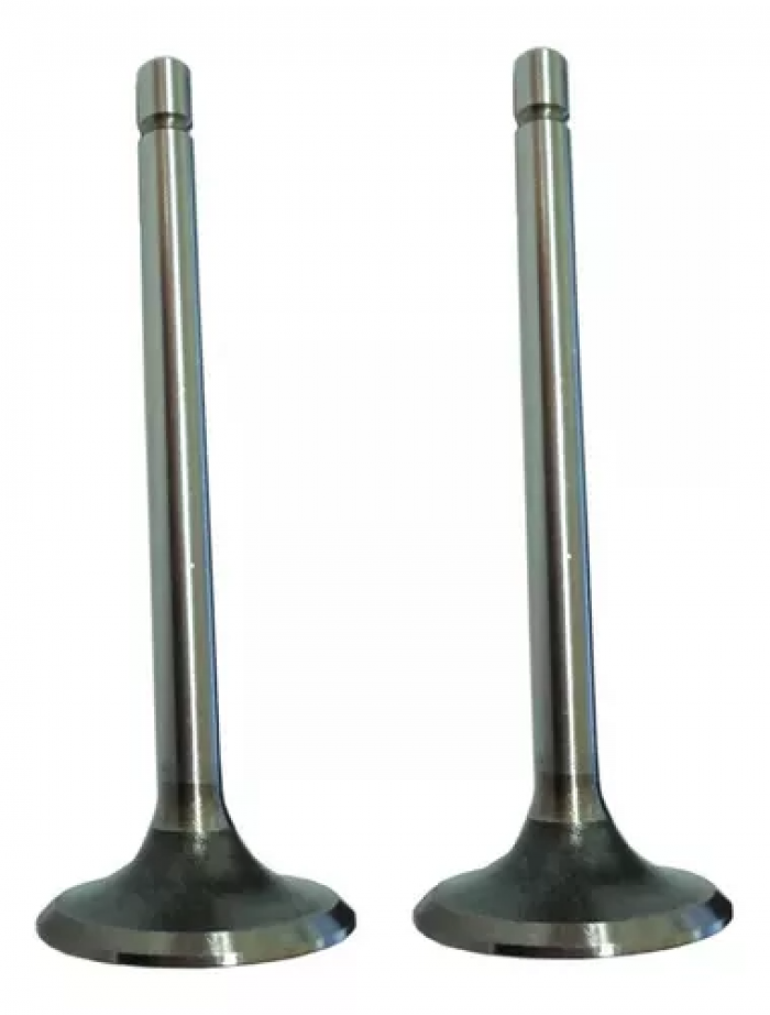 VALVULA ADM/ESC. BIZ 125 06-19 (PAR) C/RETENTOR R-1