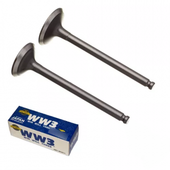 VALVULA ADM/ESC. CRYPTON 115/ CRYPTON 105 WW3