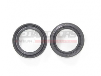 RETENTOR SUSP. INTRUDER 250 (PAR) VEDAMOTORS