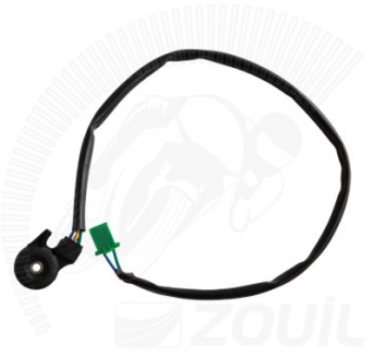 INTERRUPTOR SEGURANCA DESC. LAT. CB 300 C/CHICOTE ZOUIL